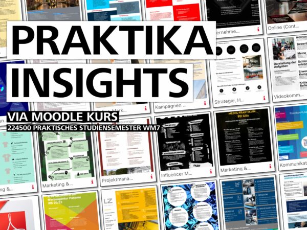 Plakate Praktika Insights 2021