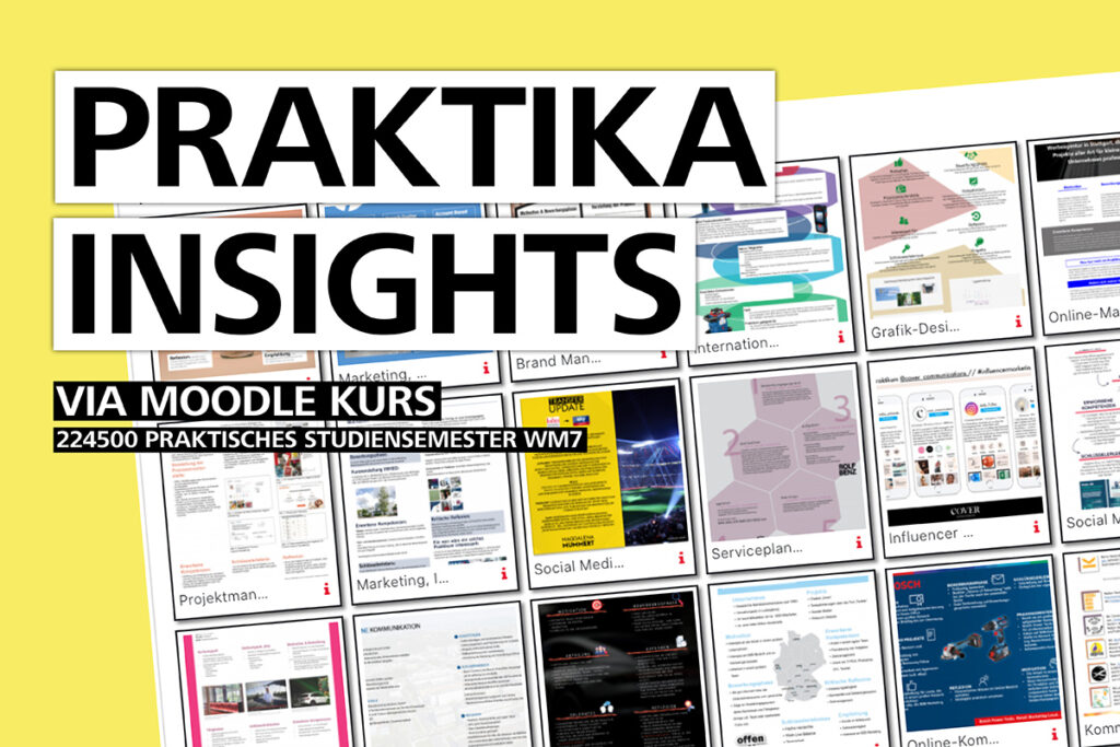 Präsentationen Praktika Insights WS 2020/21